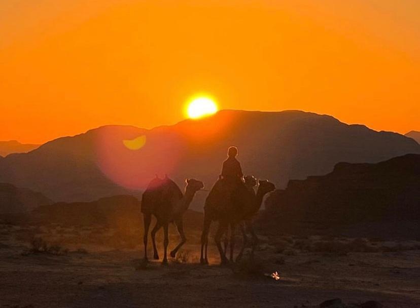 Wadi Rum Travel Camp Exteriör bild